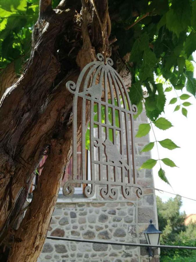 Μαχη Ενοικιαζόμενα Δωμάτια Митимна Экстерьер фото